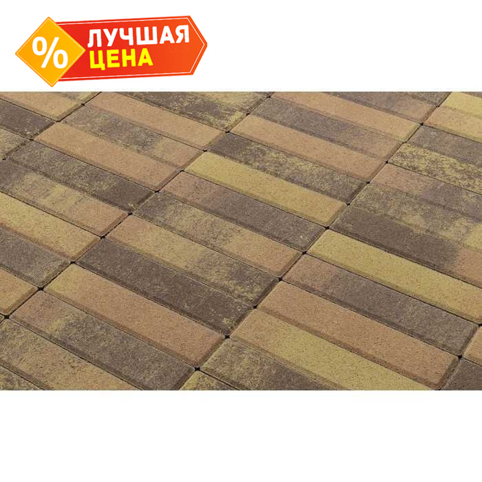 Плитка тротуарная BRAER Паркет Color Mix Прайд, 200*50*60 мм