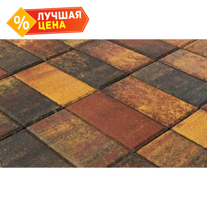 Плитка тротуарная BRAER Прямоугольник Color Mix Мальва, 200*100*60 мм