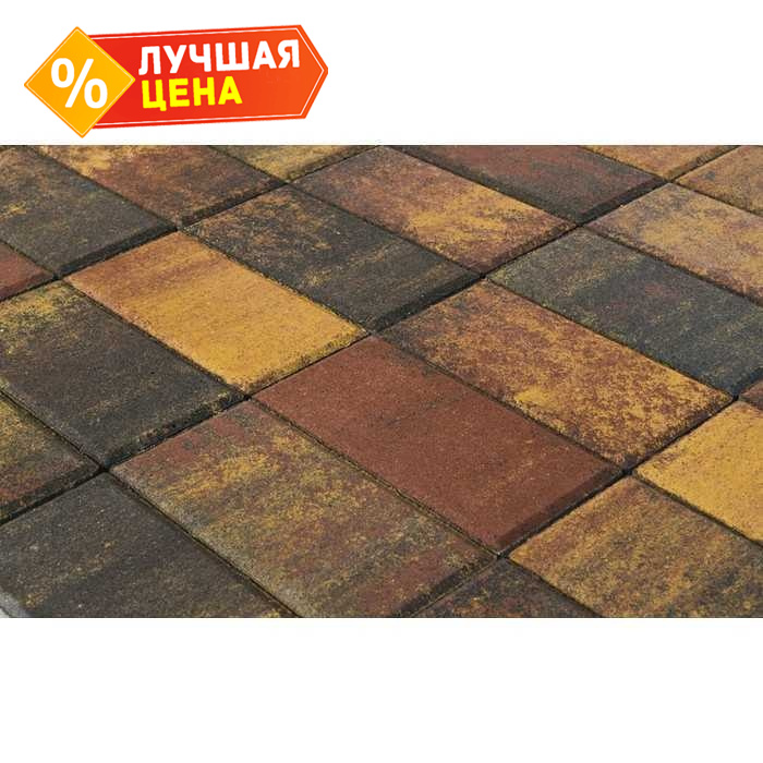 Плитка тротуарная BRAER Прямоугольник Color Mix Мальва, 200*100*40 мм