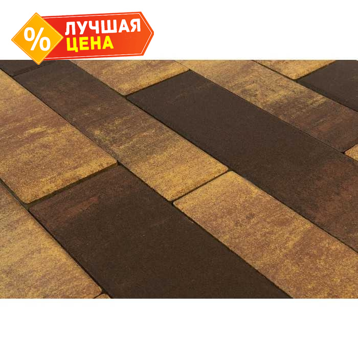 Плитка тротуарная BRAER Домино Color Mix Сафари, 120/160*60 мм