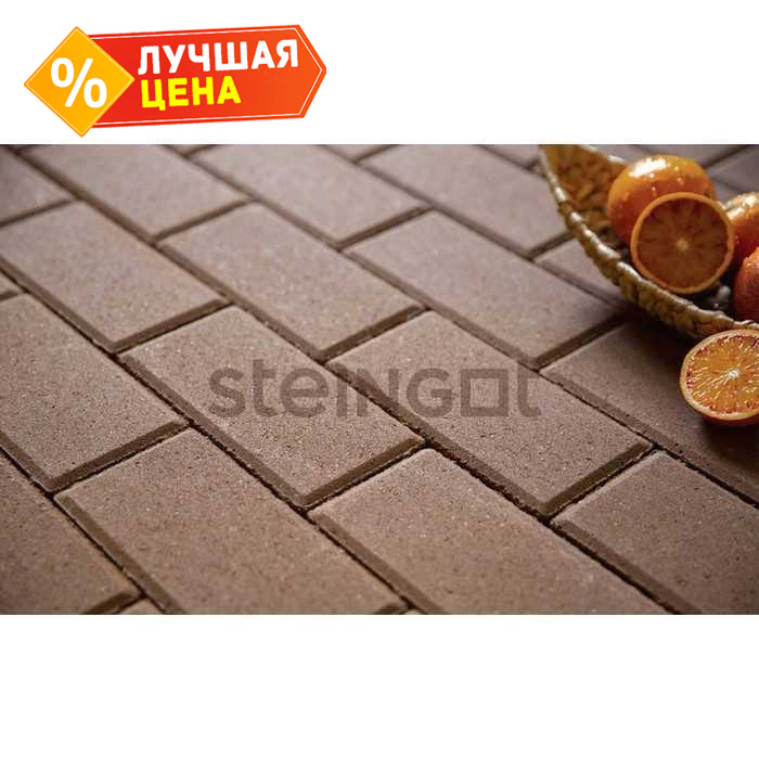 Плитка тротуарная Steingot Моно, Прямоугольник, фаска 5*5, коричневый, 200*100*60 мм