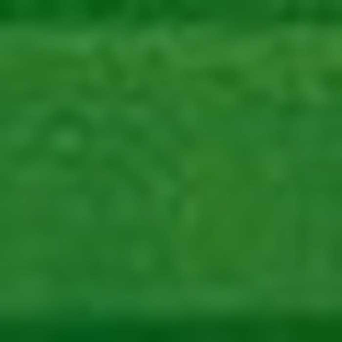 Глазурованный кирпич S.Anselmo Light green, 240х115х70 мм - фото 2